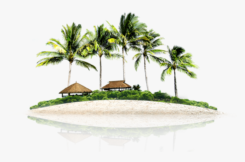 Resort Png Picture - Palm Trees .png, Transparent Png