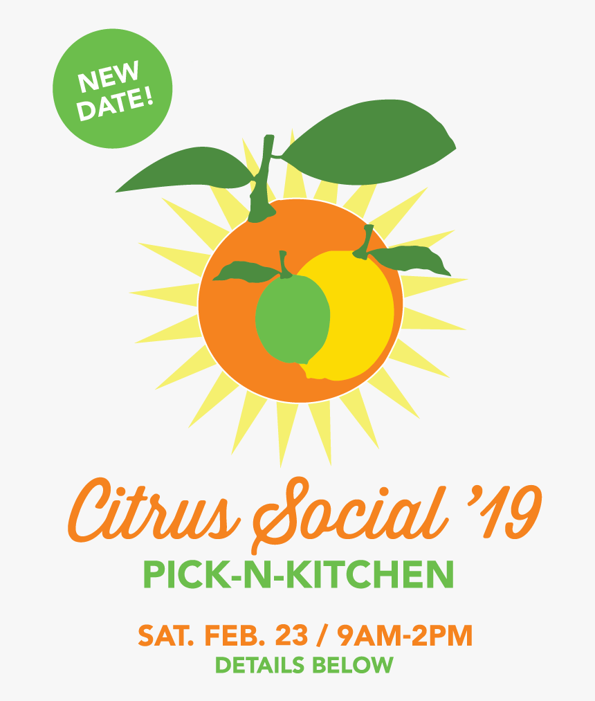 Pick - Tangelo, HD Png Download