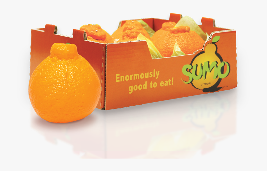 Tangerine, HD Png Download