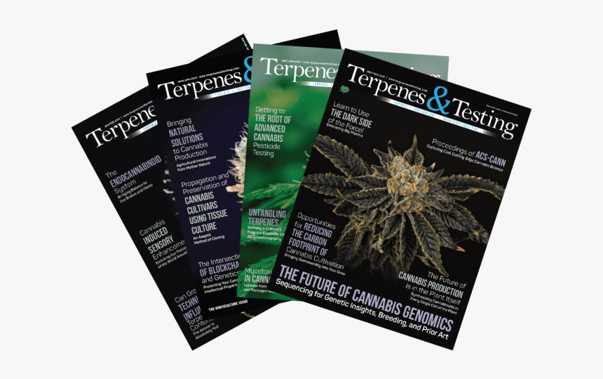 Flyer, HD Png Download