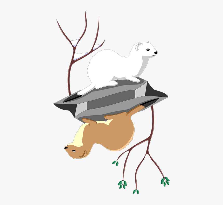 Stoat Cartoon, HD Png Download