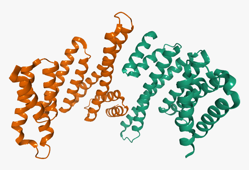 2bq0 14 3 3 - 14 3 3 Protein Structure, HD Png Download