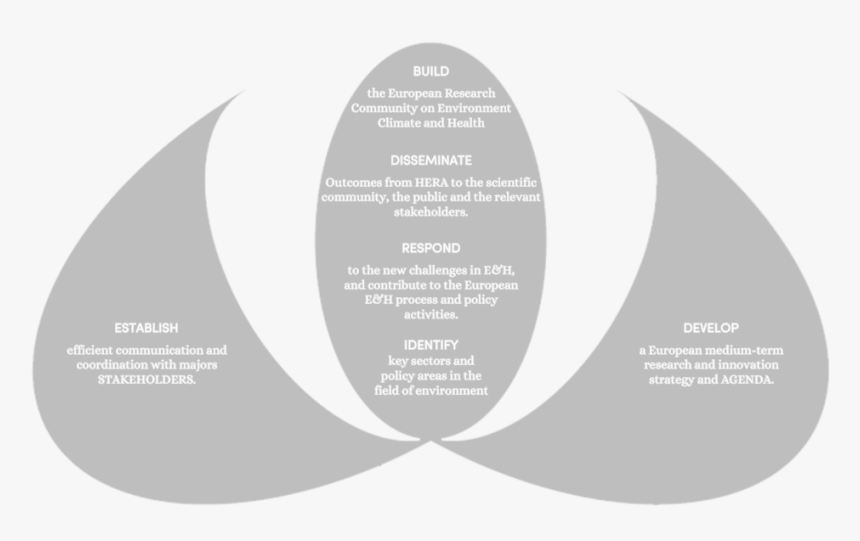 Hera Flower Objective Graphic 3 - Graphic Design, HD Png Download