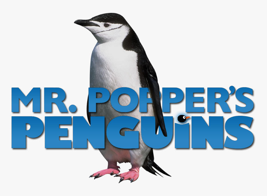 Mr Popper's Penguins Movie Poster, HD Png Download