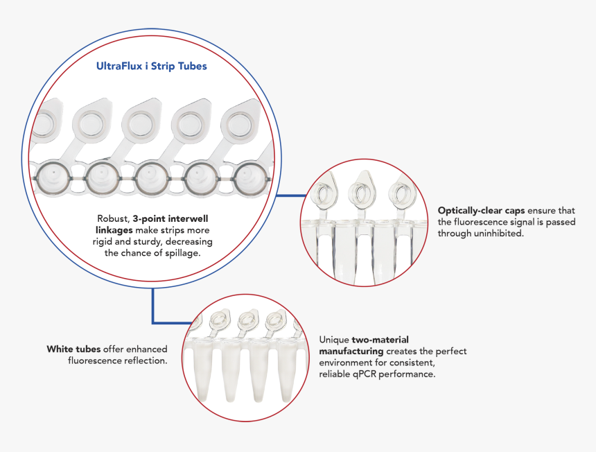 Pcrstripinfog Web - Circle, HD Png Download