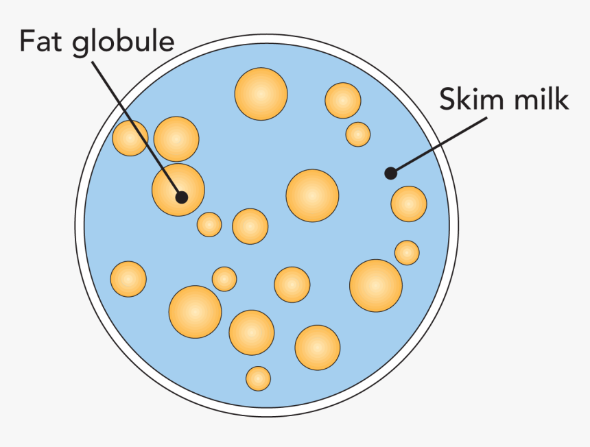 Emulsion Of Fat Milk, HD Png Download