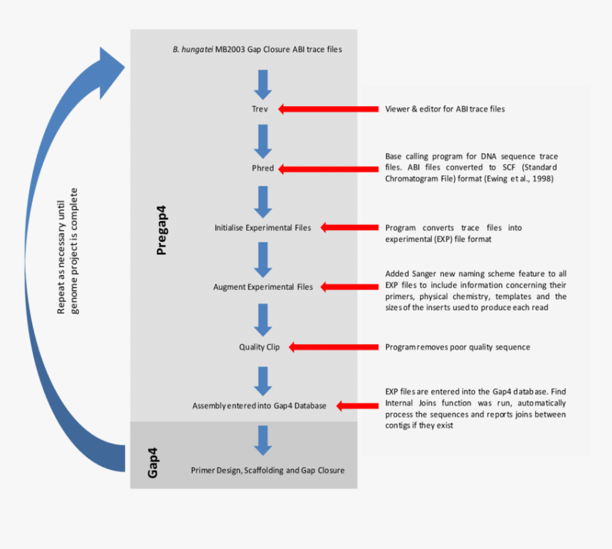 Diagram, HD Png Download