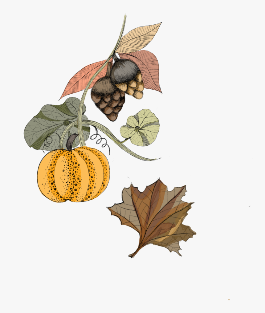 Eat 3 - Illustration, HD Png Download