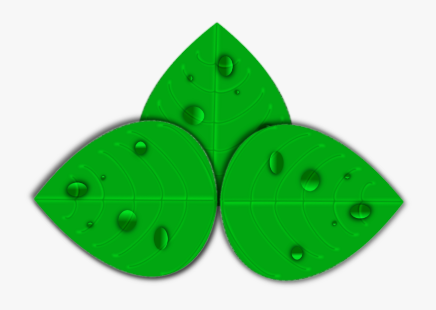 Circle, HD Png Download