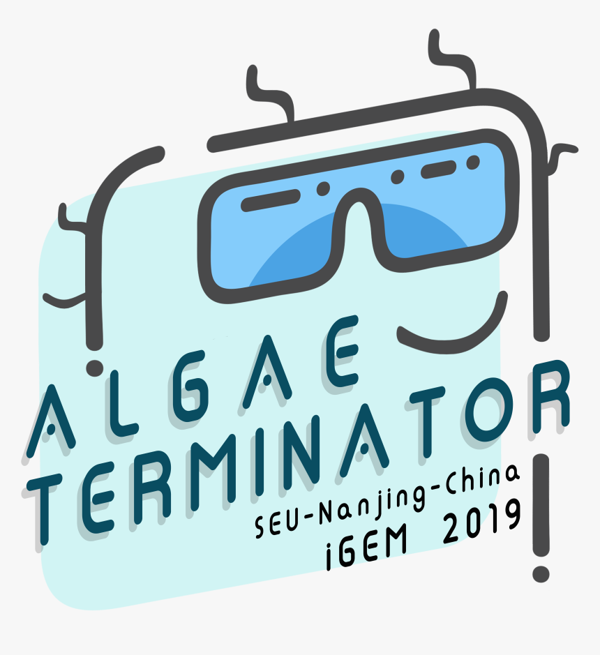 T Seu Nanjing China 1d6c7e87, HD Png Download