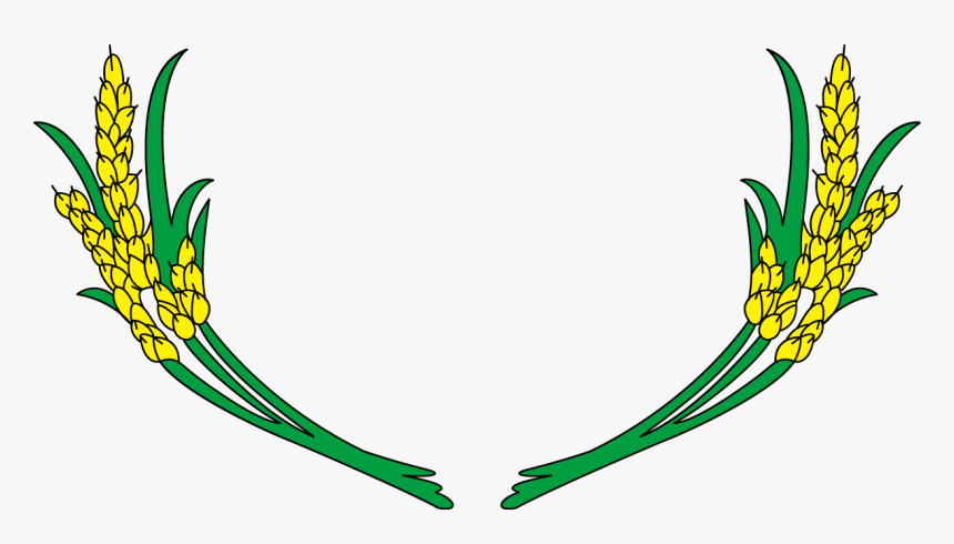 Rice Gadu Field Gratis - Vector Paddy Field Rice Png, Transparent Png