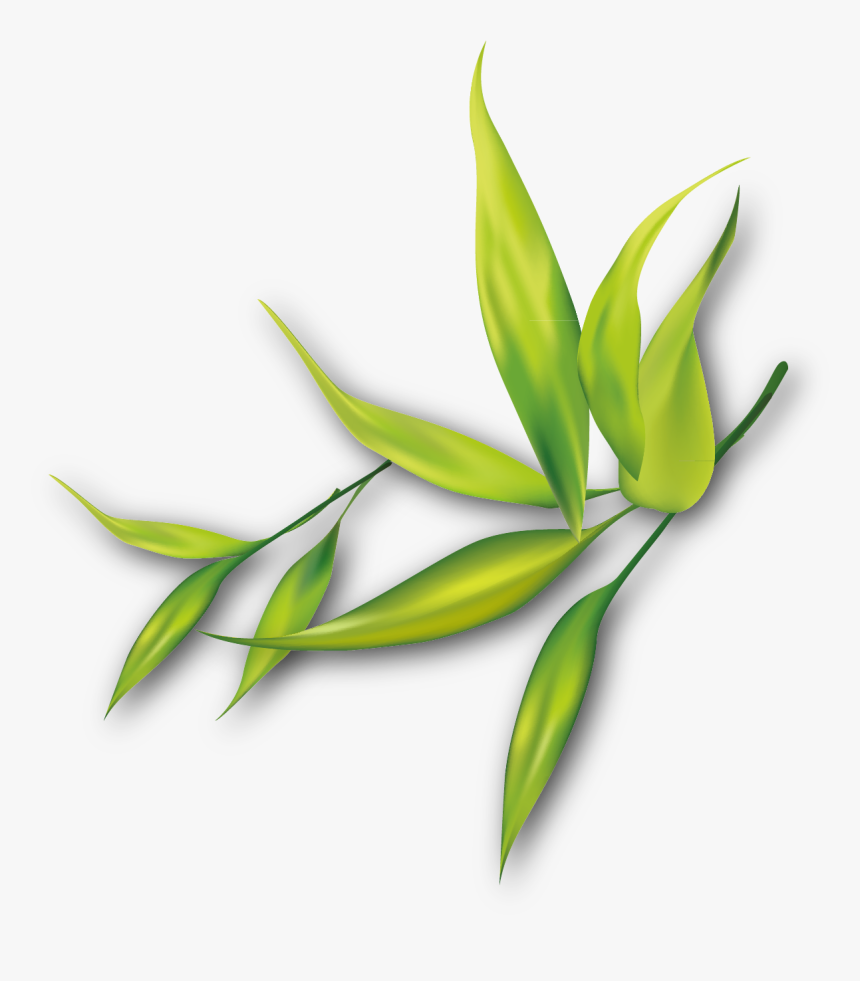 Painting Clip Art Transprent Png Free - Portable Network Graphics, Transparent Png