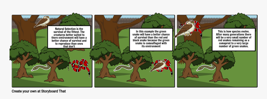 Cartoon, HD Png Download