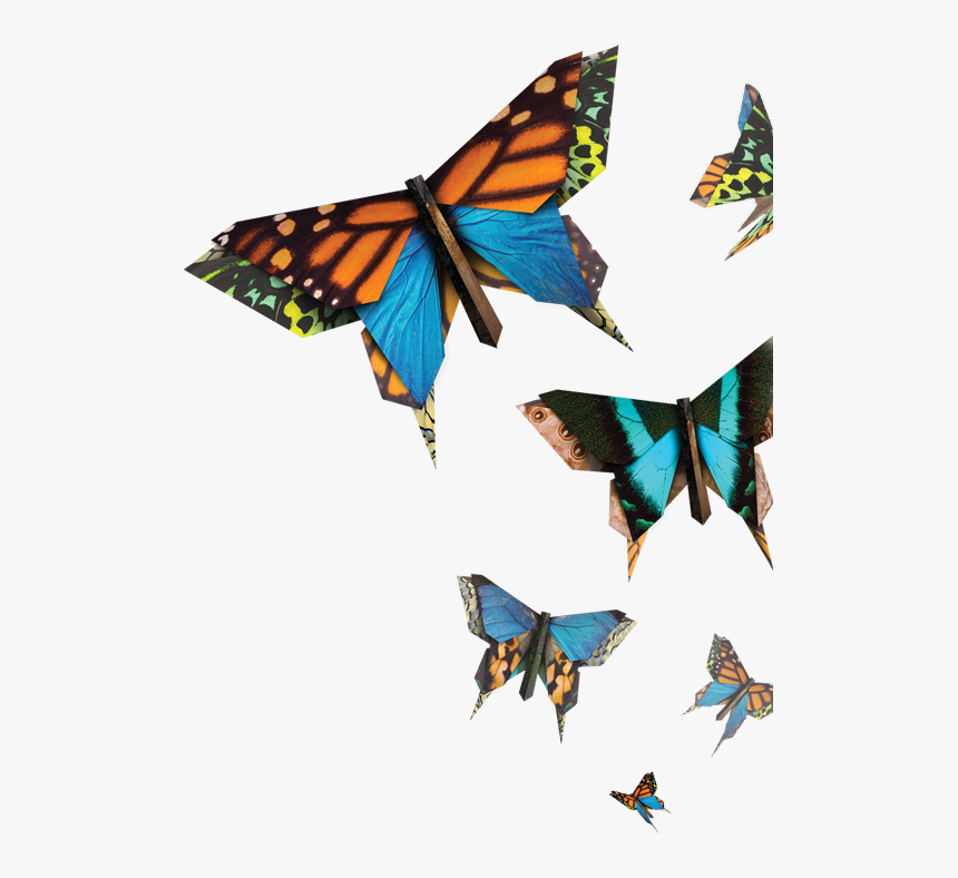 Butterflies - Natural New Butterflies, HD Png Download
