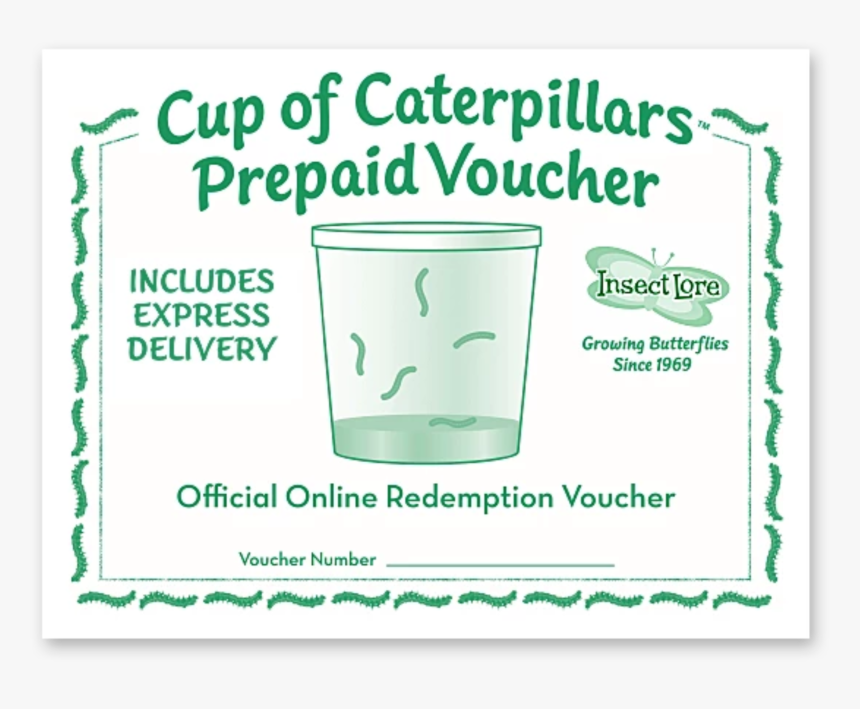 Green And White Voucher For A Cup Of 5 Caterpillars, HD Png Download