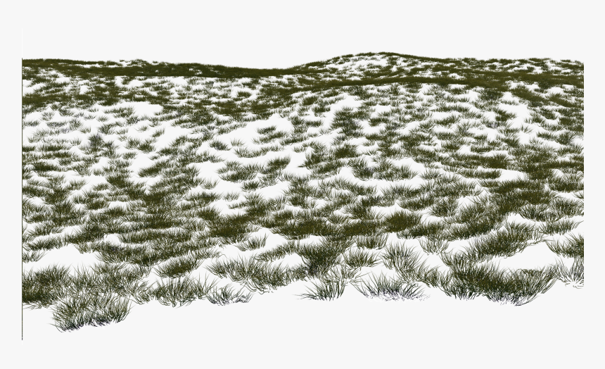 Grass B Flat 3, HD Png Download