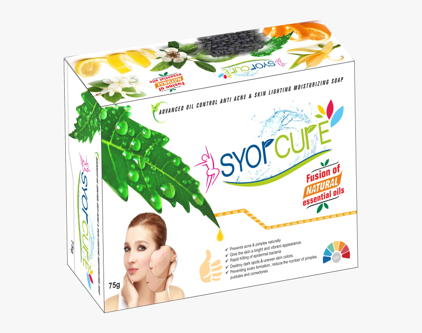 Banner, HD Png Download