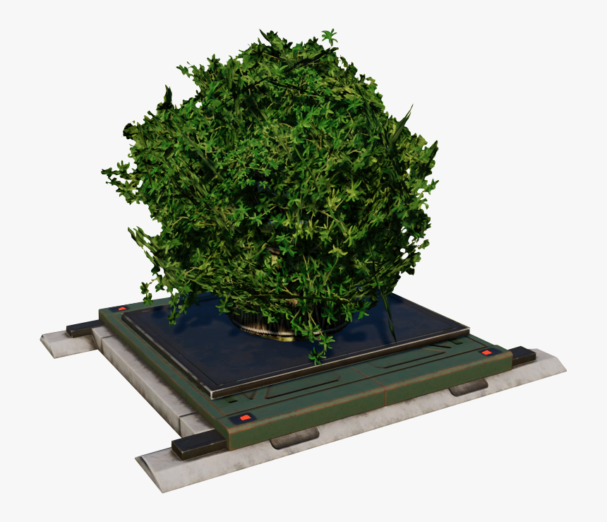   - Tree, HD Png Download