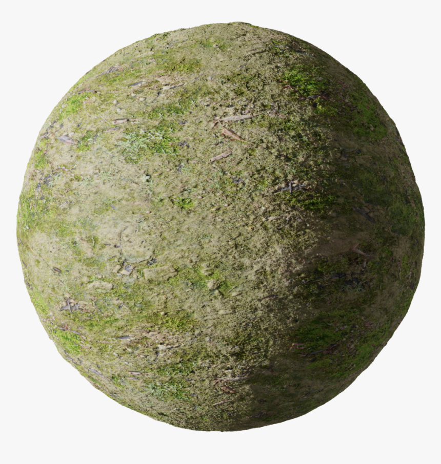 Circle, HD Png Download