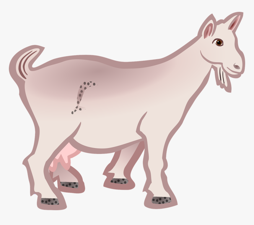 Goat Animal Farm Animal Free Photo, HD Png Download