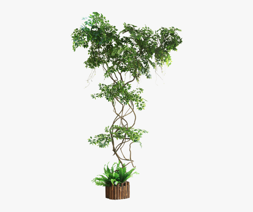 Ginkgo Fake Branch Simulation Leaves Balcony Package - Artificial Ivy Plants Uk, HD Png Download