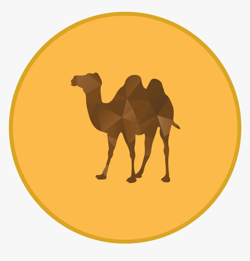 Desert Oasis Png - Clipart Camel, Transparent Png