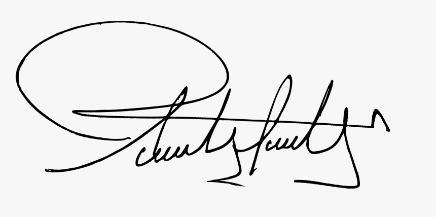 Firma Sandy Camila Godoy - Firma Camila Png, Transparent Png