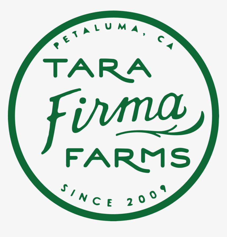 Tf Logo 2018 Final Green Transparent Bg - Circle, HD Png Download