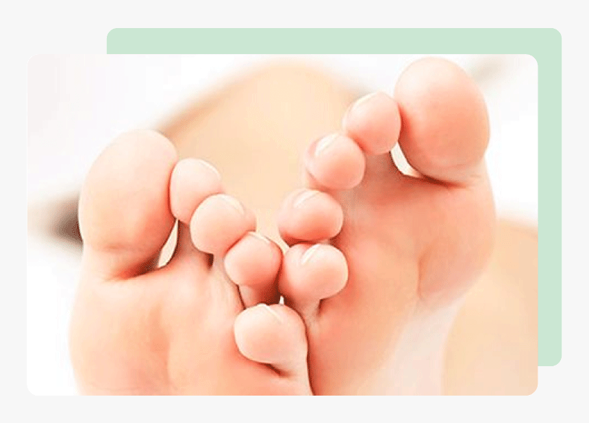 Toe, HD Png Download