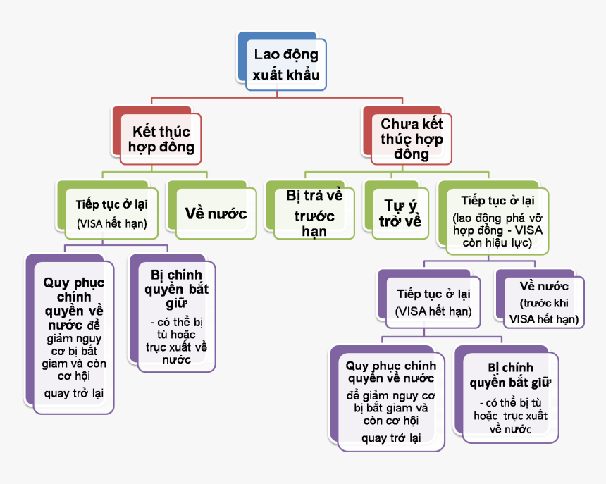 Employment Paths Of Migrant Workers - Quy Trình Ứng Phó Tai Nạn Lao Động, HD Png Download