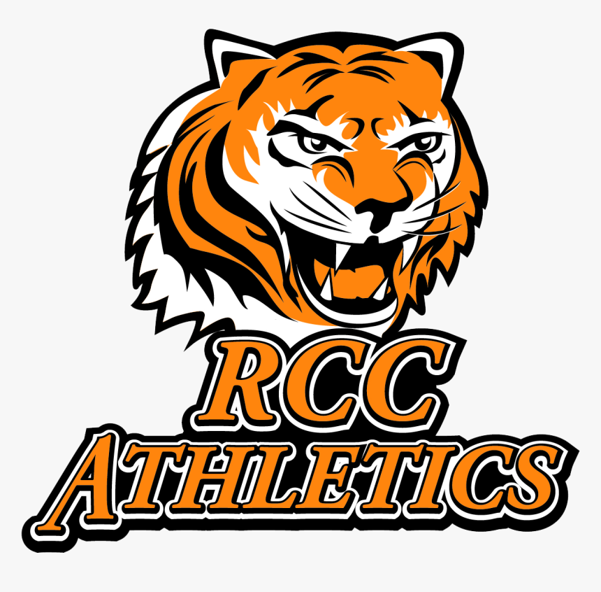 Bayside Tigers Png - Roxbury Community College Tigers, Transparent Png