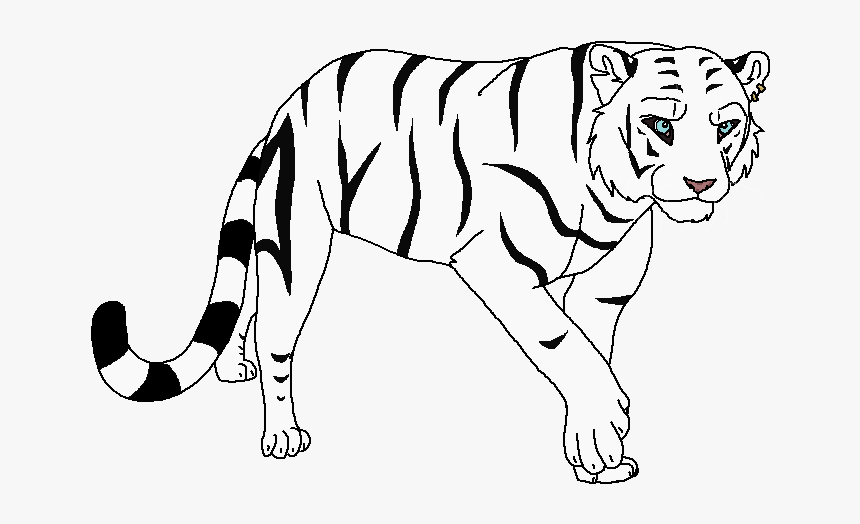 Siberian Tiger, HD Png Download