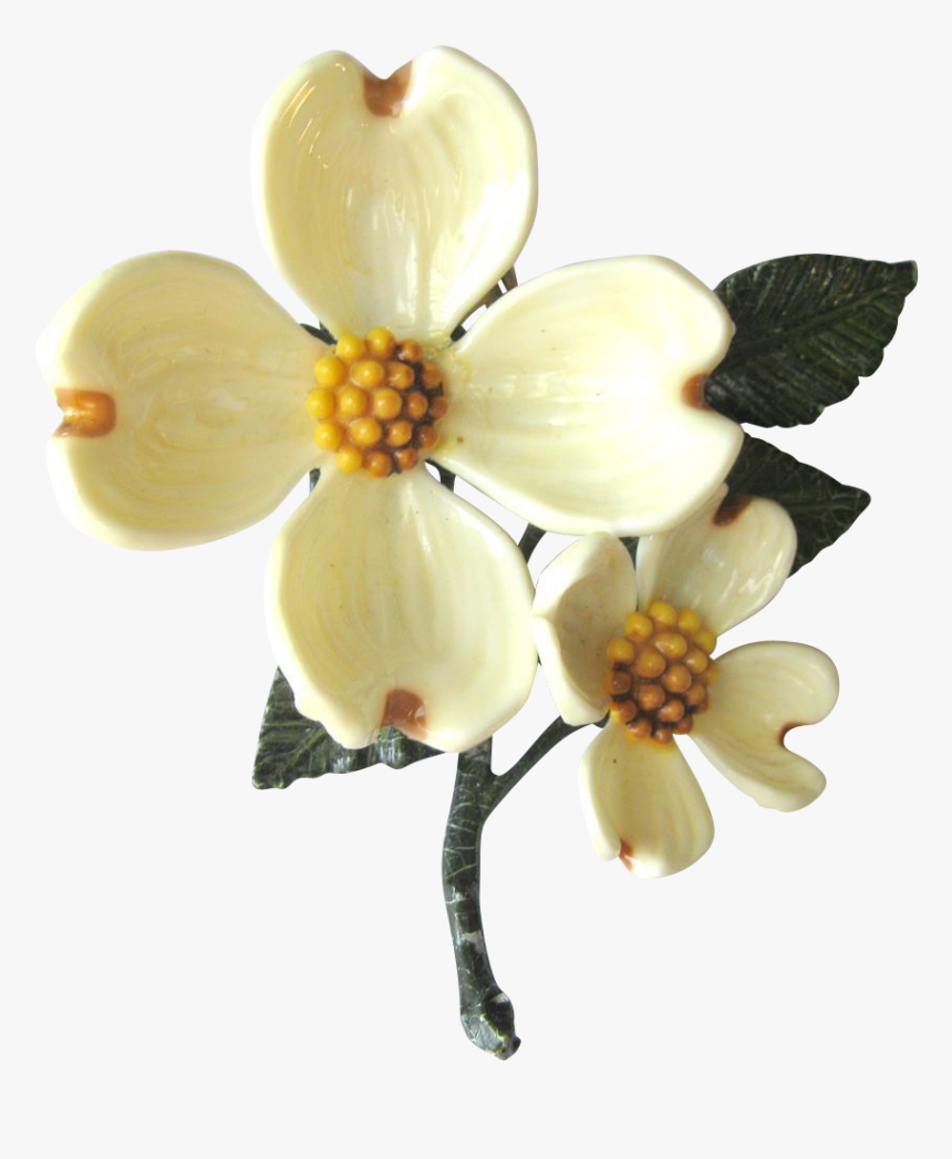 Dogwood Flower Png - Dogwood Flower Transparent, Png Download