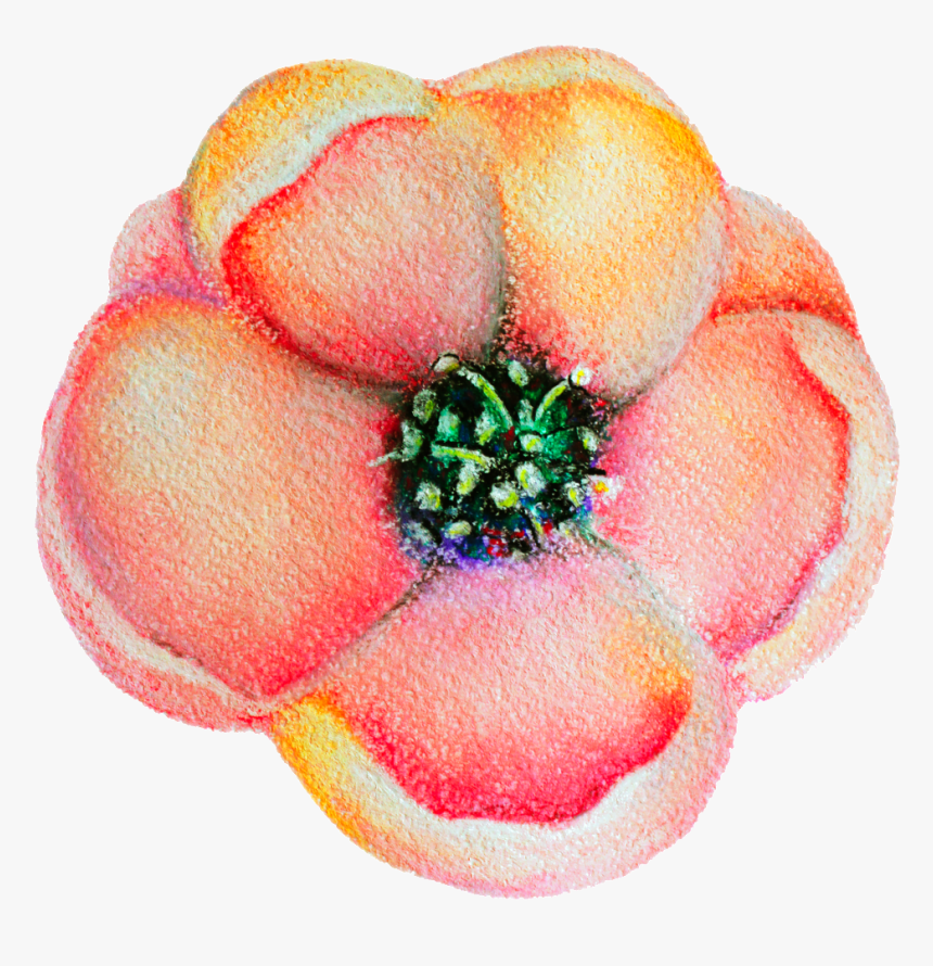 Spring Flower Bloom Decoration Vector This Backgrounds - Artificial Flower, HD Png Download