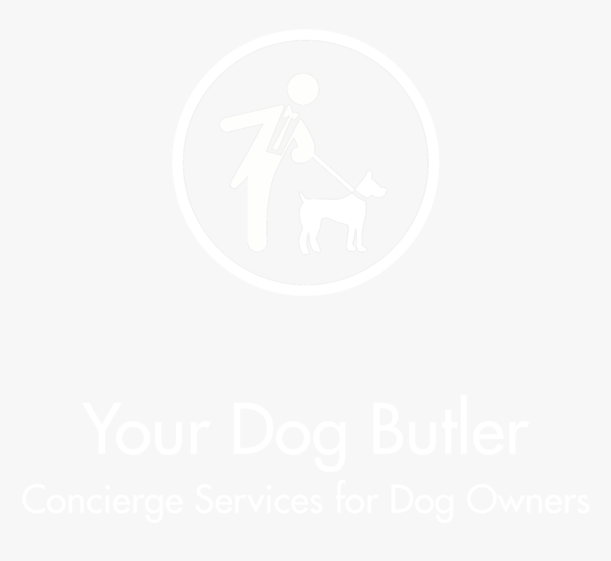 Pastedgraphic-1 - Circle, HD Png Download