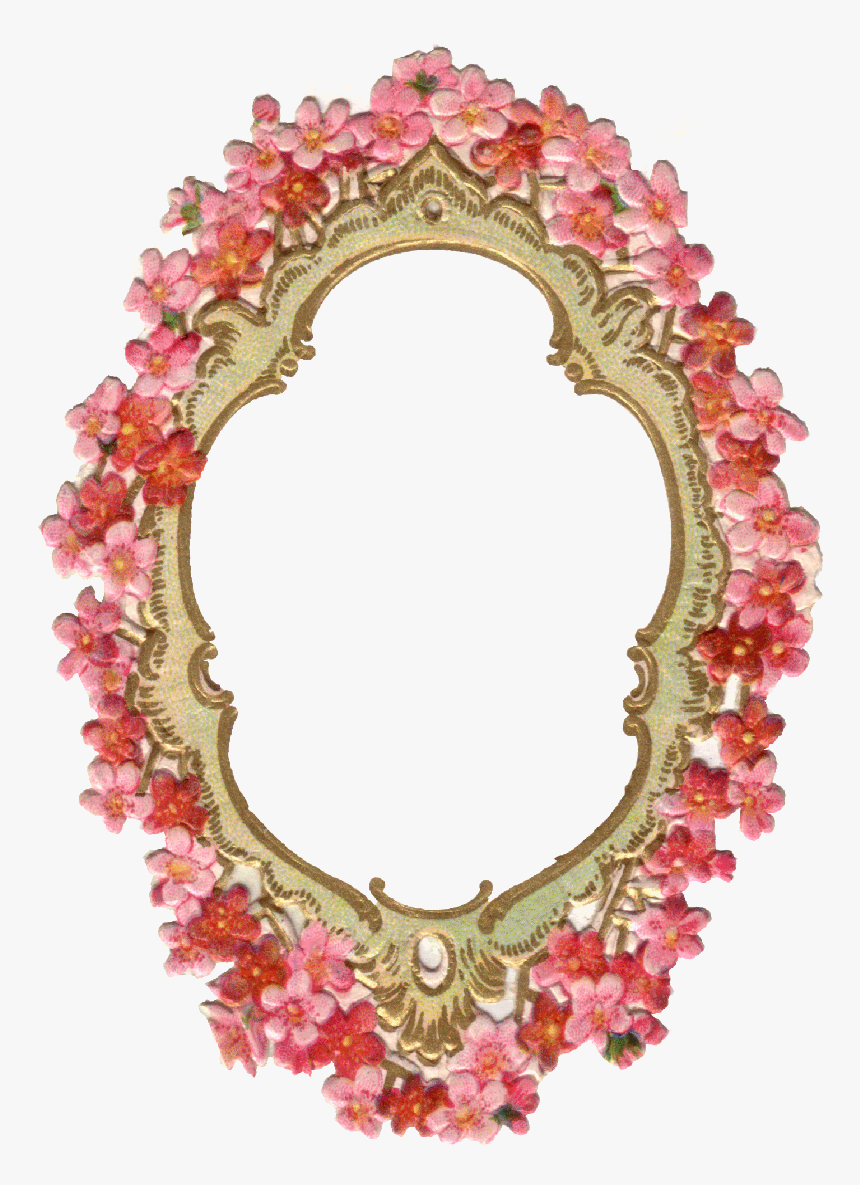 349 Cadre Fleurs Rouge , Png Download - Circle, Transparent Png