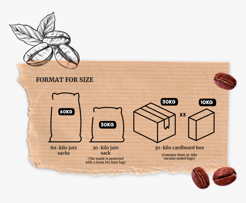 Chocolate, HD Png Download