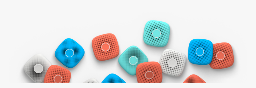 Webbing, HD Png Download