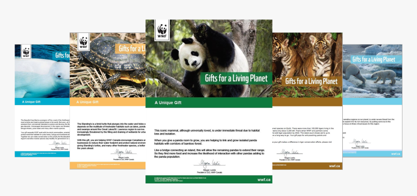 1000 Piece Puzzle - Siberian Tiger, HD Png Download