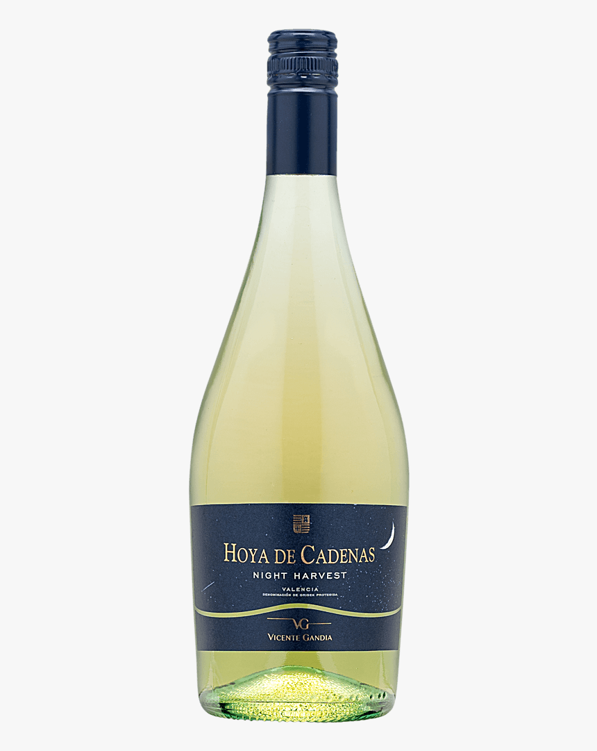 2017 Hoya De Cadenas Night Harvest White Blend - Lampshade, HD Png Download