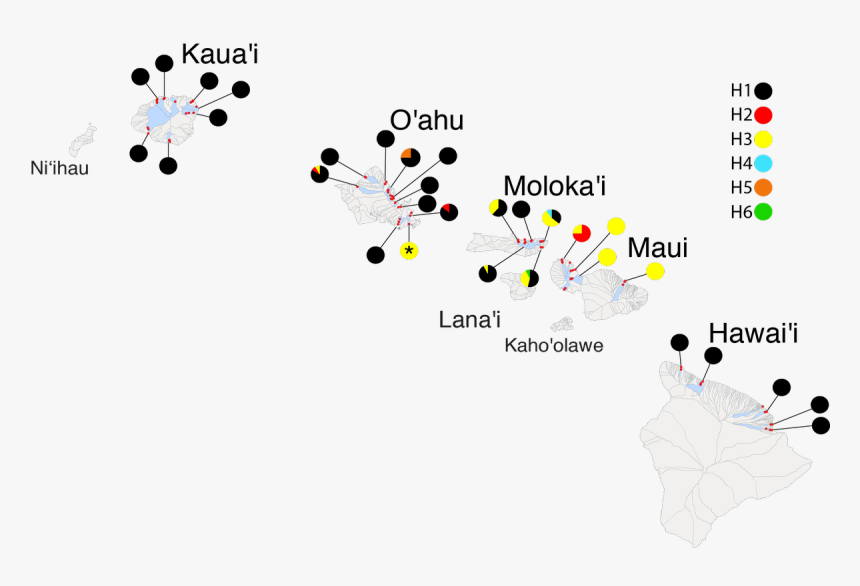 Diagram, HD Png Download