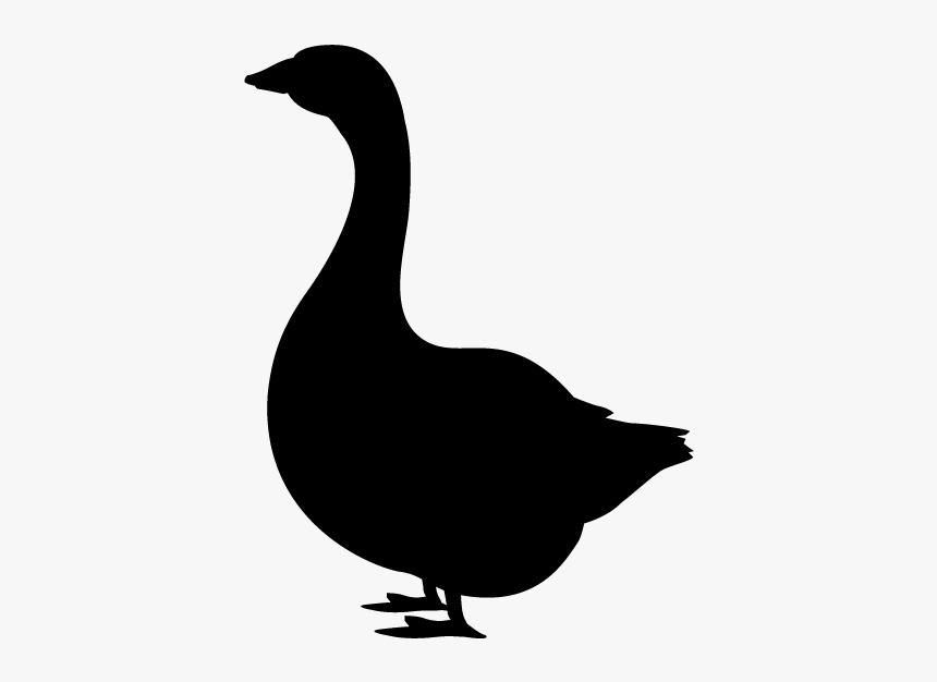Domestic Duck Silhouette Goose Clip Art - あひる シルエット イラスト, HD Png Download