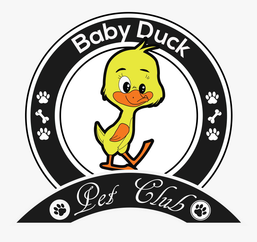 Portable Network Graphics, HD Png Download