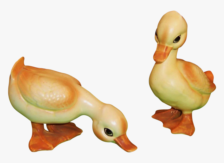 Duck, HD Png Download