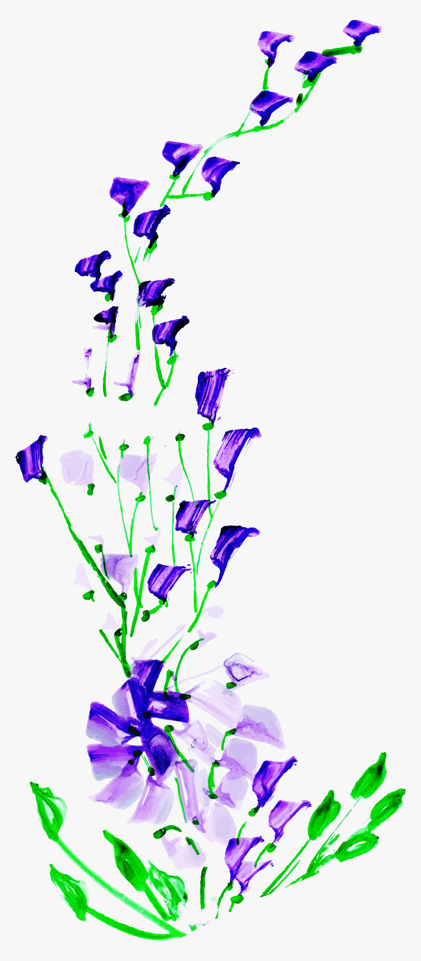 Delphinium, HD Png Download