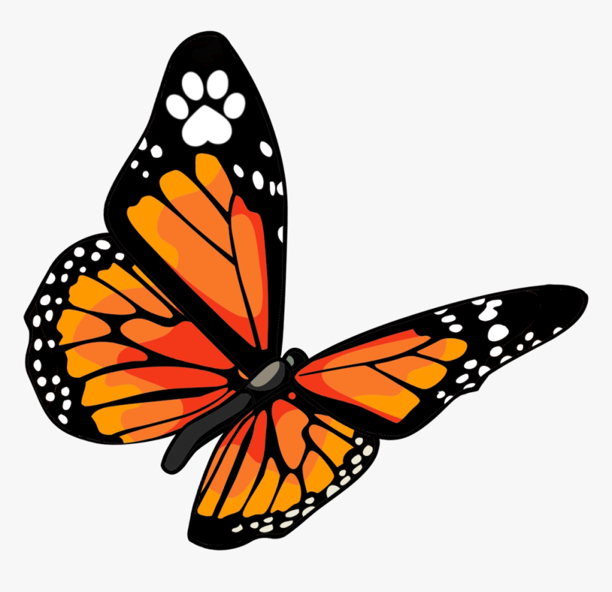 Vts Buttefly Transparent Bg Cropped - Monarch Vet Tech Services, HD Png Download