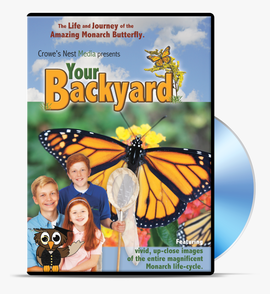 Transparent Monarch Butterflies Png - Butterfly Dvd, Png Download