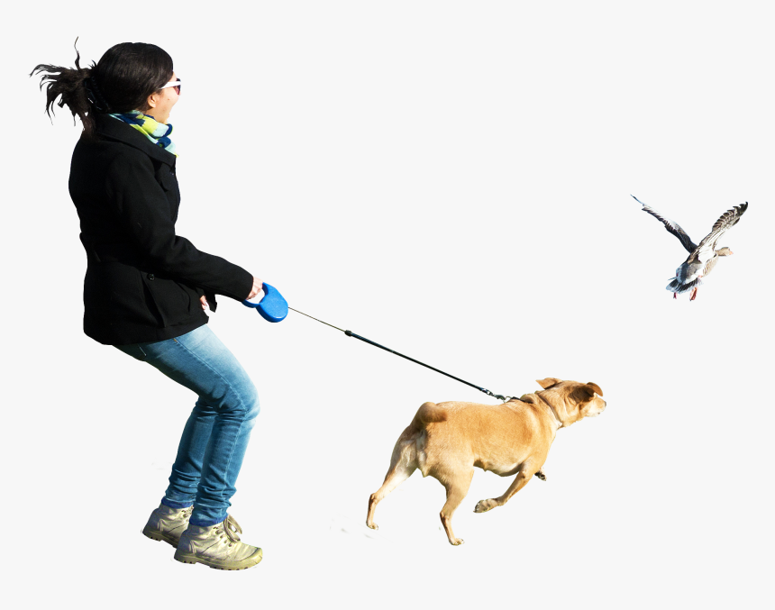 People Walking Dogs Transparent Background, HD Png Download