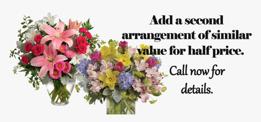 Lily And Marcellus Wedding, HD Png Download