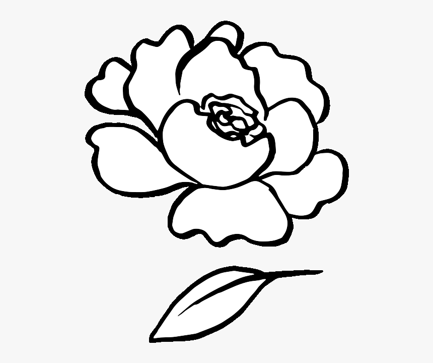 Bloomery Website Banner - Line Art, HD Png Download